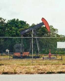 Oil pump jack, industrial equipment, rural oil extraction, energy industry. 