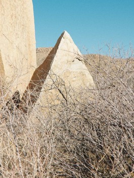 ROBIN MELLOR