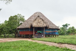 Traditional African hut with thatched roof and wooden structure. 