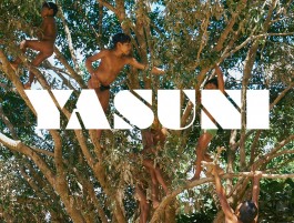 Children climbing and playing in a large tree, enjoying outdoor adventure and nature. 