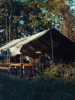 Temporary outdoor tent setup in a forested environment. 