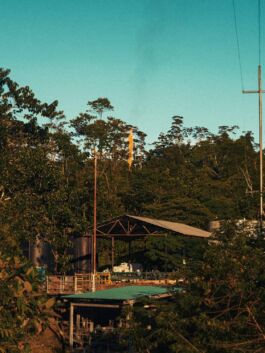 Rural landscape featuring trees, structures, and power lines under a clear sky. 