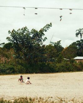 Children playing on sandy ground with trees and hanging shoes in a rural outdoor setting. 