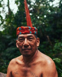Traditional Mesoamerican shaman with colorful headdress in dense jungle environment. 