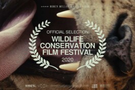 Wildlife Conservation Film Festival 2020 - Official Selection by Robin Mellor and Yessa Khan.